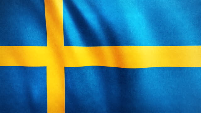 SVERIGE-SKOTTLAND
